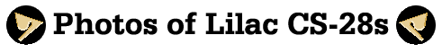 Beginning of Lilac CS-28 Photos